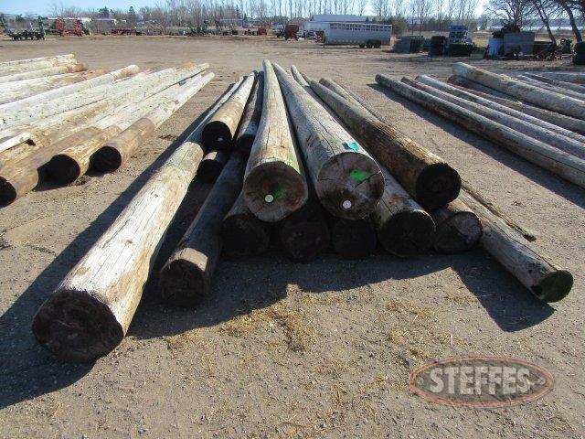 (15) Wood utility poles_0.JPG